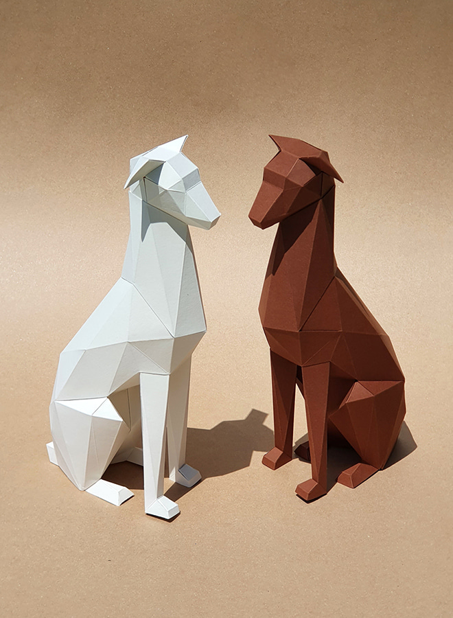 그레이하운드 / Greyhound